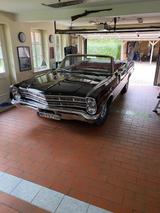 Ford Galaxie 500 - Ford: Galaxie