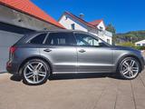Audi SQ5 3.0 TDI competition tiptronic quattro - - graue Audi SQ5