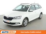 Skoda Fabia 1.0 TSI Ambition*LIMIT*CAM*PDC*CARPLAY*BT* - Skoda Fabia Gebrauchtwagen in Frankfurt