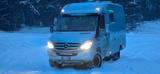 Mercedes-Benz Sprinter 316  4x4 - Mercedes-Benz Integrierter