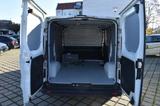 Fiat Talento Kasten 2.0 SX L1H1 KLIMA KAMERA - Fiat: 2.0