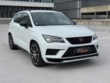 Cupra Ateca 4Drive/LED/ACC/AHK/Tribe Edition - Cupra Ateca Gebrauchtwagen
