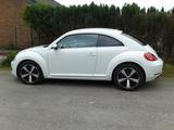 Volkswagen Beetle 1.6 TDI DSG - Comfort RNS 315 PDC LM 18