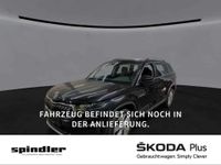 Skoda Kodiaq - Vorschau Bild 1