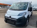 Opel Movano, DOKA Pritsche - gebrauchte Opel Movano aus dem Jahr 2024