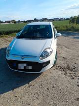 Fiat Punto Evo 1.4 8V Racing Racing - Fiat Punto Evo Racing mit Benzin-Antrieb
