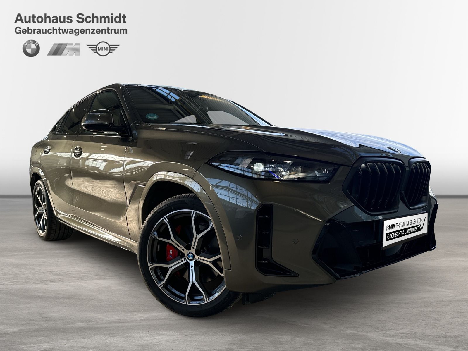BMW X6 - Bild 6