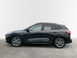 Ford Kuga ST-Line X Rückfahrkamera ACC Bang&Olufsen - Ford Gebrauchtwagen in Aschaffenburg