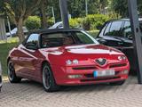 Alfa Romeo ALFA SPIDER 916  bj2000 1,8    25 jahre  a... - : Cabrio, Alfa