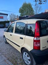 Fiat FIAT PANDA 1 Hand Unfall frei - Fiat Panda: Kombi