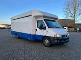 Fiat Mobiler Fischwagen Verkaufswagen mit Aufba... - Fiat Ducato: Verkaufswagen