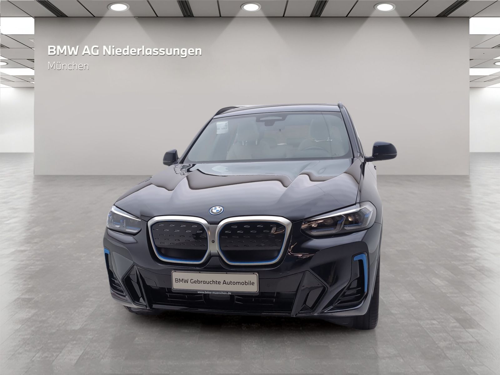 BMW iX3 M Sport Driv.Assist.Prof Harman K Head-Up foto 3