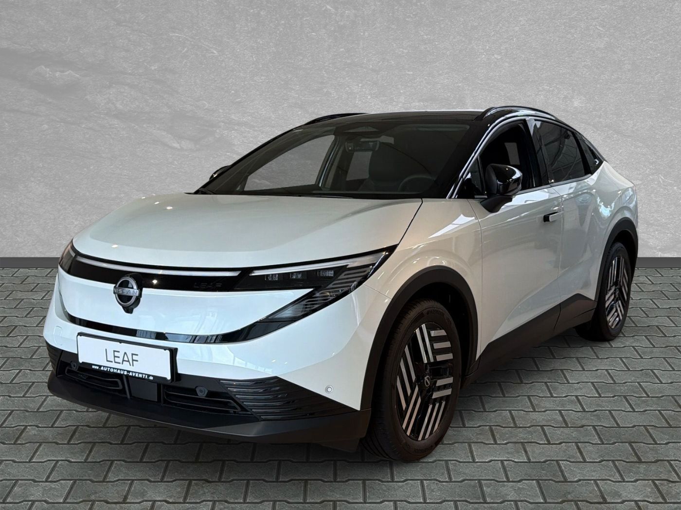 Nissan Leaf Advance 75 kWh 360*Google*Pano*Navi