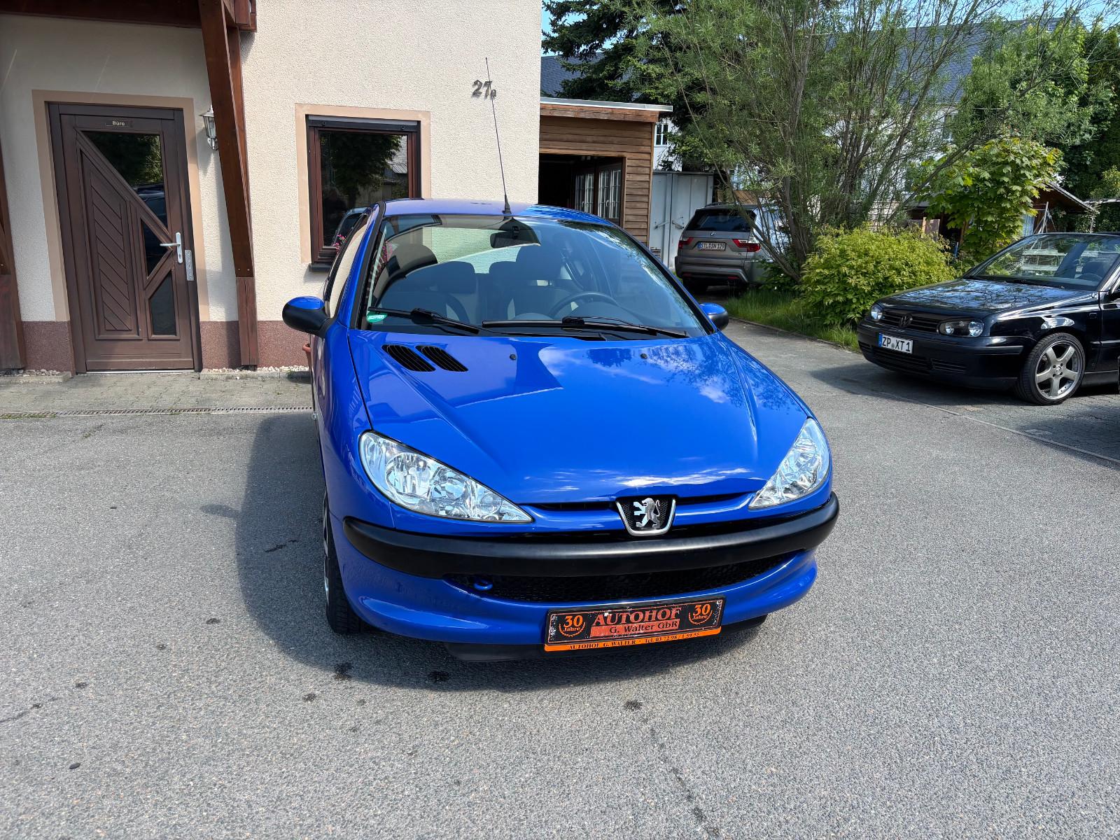 Peugeot 206 Petit Filou