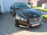 Jaguar XF 3.0 L V6 Diesel - Premium-Luxury - Jaguar XF Luxury mit Diesel-Antrieb