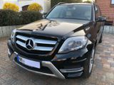 Mercedes-Benz GLK 350 4MATIC BlueEFFICIENCY - - Mercedes-Benz GLK 350 in Hamburg