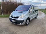 Opel Vivaro - gebrauchte Opel Vivaro aus dem Jahr 2006