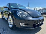 Volkswagen Beetle Lim. Fender Edition Leder - Volkswagen Beetle: Fender Edition