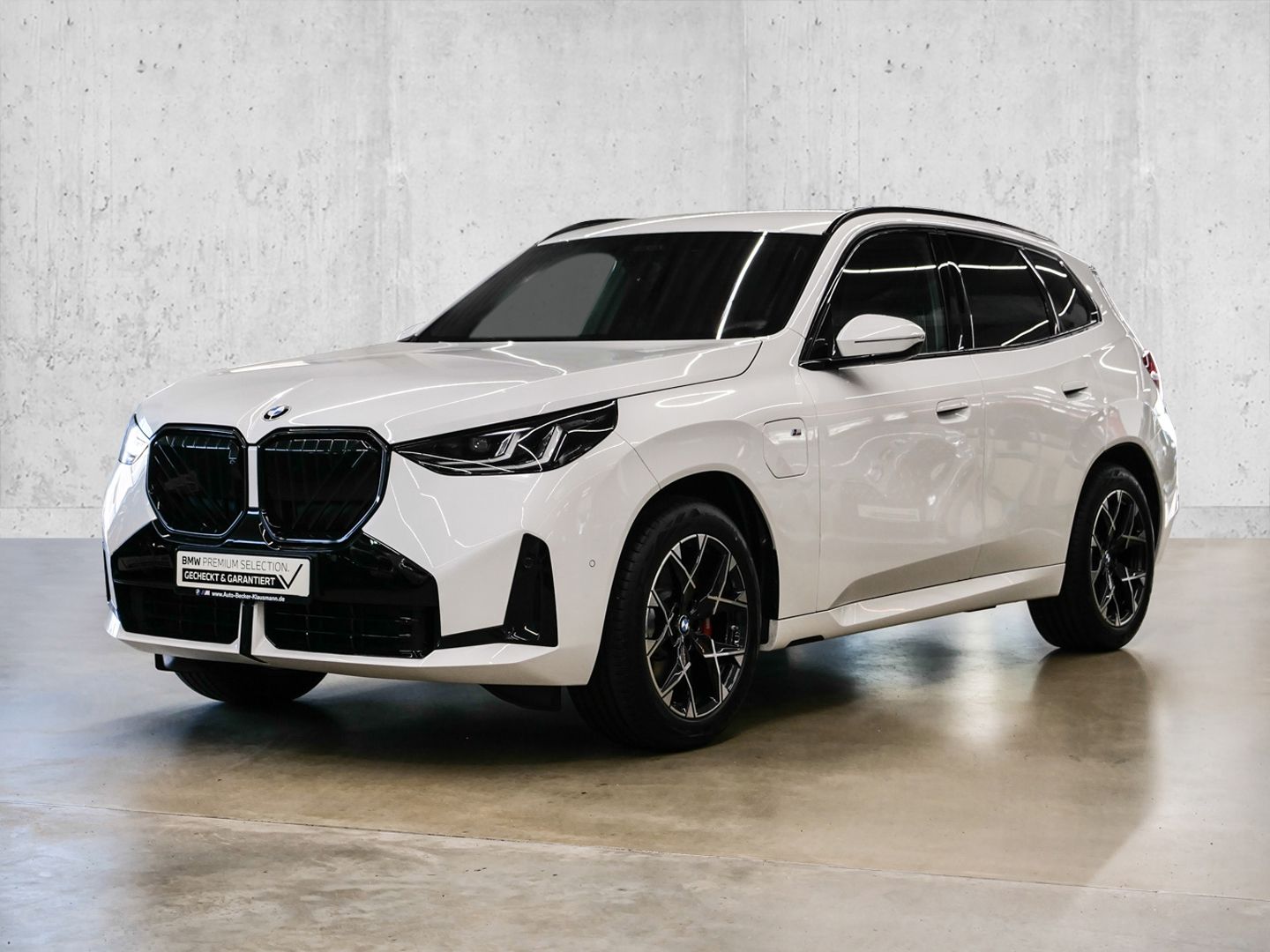 BMW X3 xDrive30e M SPORT PRO 19''LC PROF AHK ALARM foto 1