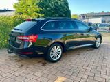Skoda Superb1.4 TSI iV DSG AMBITION, ACC, Standhei,AHK - Skoda: Firmenfahrzeug