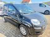 Fiat Panda My Panda-CD/Radio-ZV-el.FH - Fiat Panda Gebrauchtwagen in Hannover