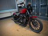 Harley-Davidson XL883N Iron 883-Remus-Auspuff-Ape-Lenker-TOP! - Offers matching your search criteria