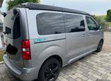 Pössl Campster 145 PS 3,1t Xenon Webasto Standhe - Pössl Andere