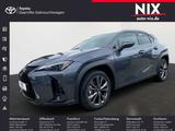 Lexus UX 300h 2.0 Hybrid F-Sport Design LED SHZ - Lexus UX Tageszulassungen