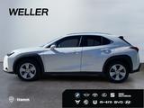 Lexus UX 250h Style Edition *PDC*ACC*Keyless*LED* - Lexus Gebrauchtwagen