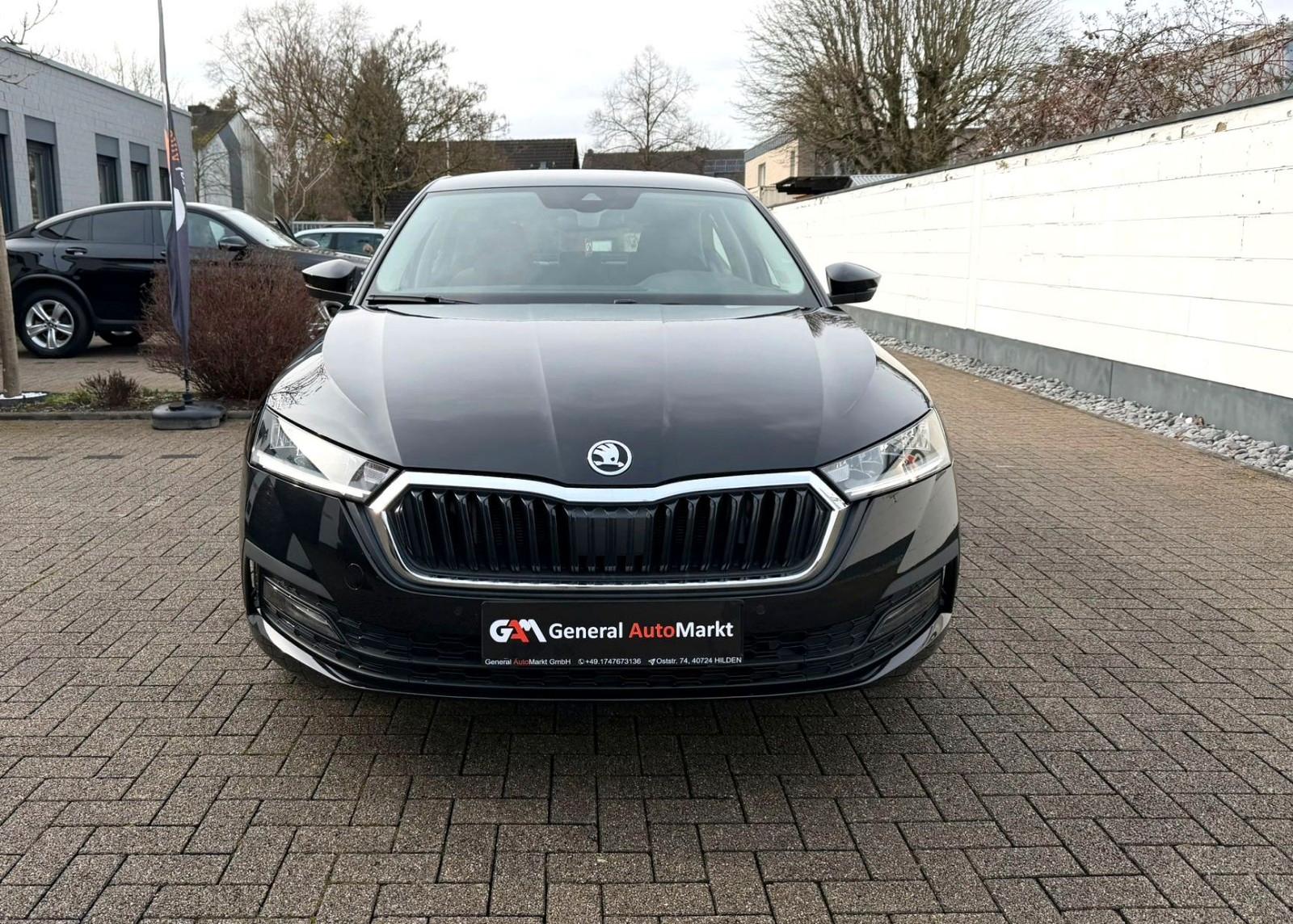 Skoda Octavia Lim. Business/Rückfahrkamera/LED/DAB/DSG