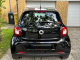 Smart ForFour 1.0 52kW - - Smart ForFour in Solingen