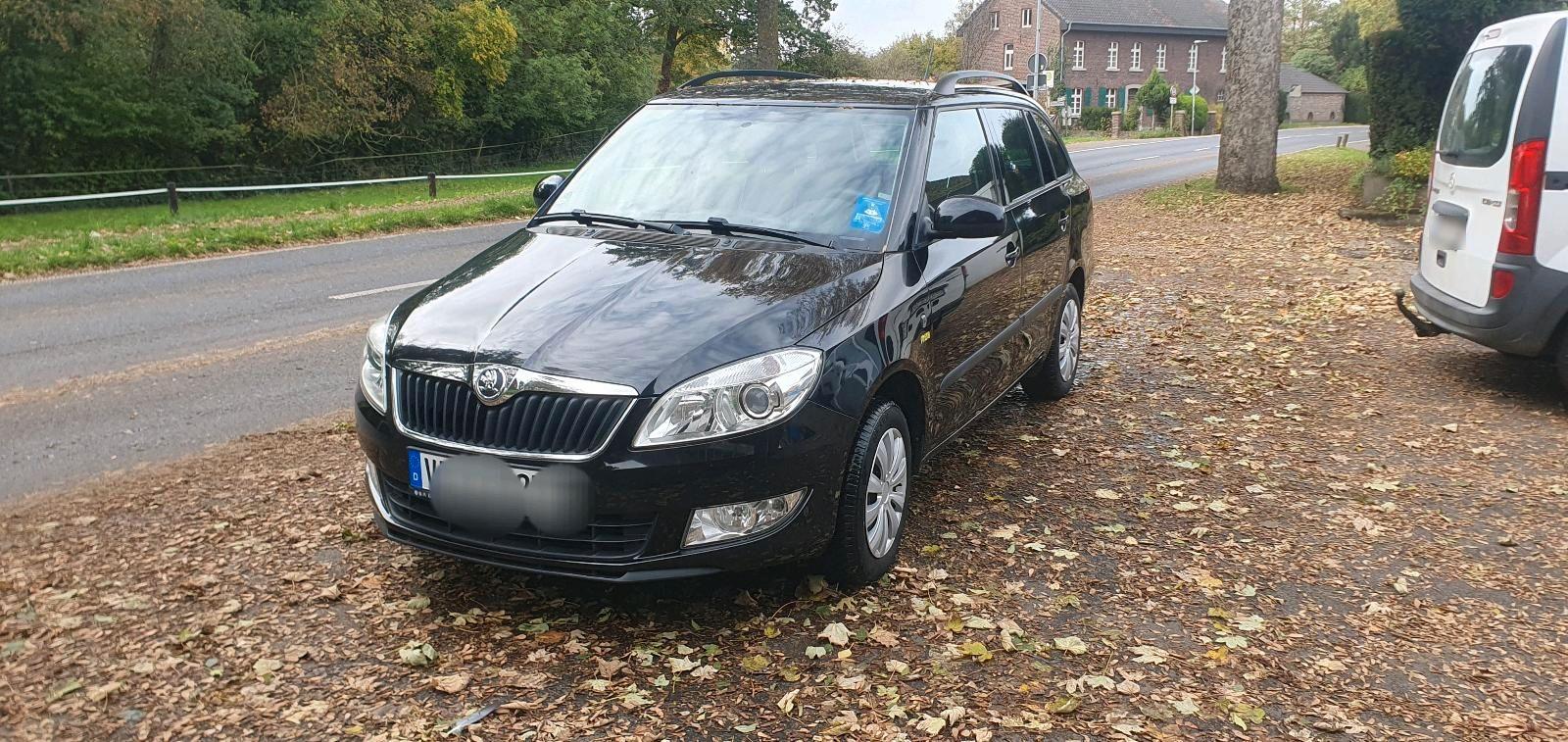 Skoda Fabia 2013 — rear view