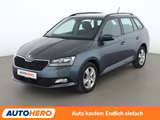 Skoda Fabia 1.0 TSI Style*TEMPO*CAM*SHZ*