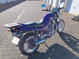 Suzuki VX 800 | TÜV bis 10/2026 | Koffer | Ersat - Angebote