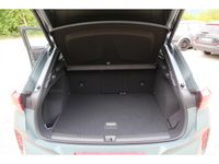 Cupra Terramar - Vorschau Bild 21