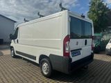 Fiat Ducato Kastenwagen L2H1 Klima Tüv Inspektion neu - Fiat Ducato: Kastenwagen