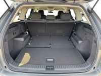 Skoda Kodiaq - Vorschau Bild 7