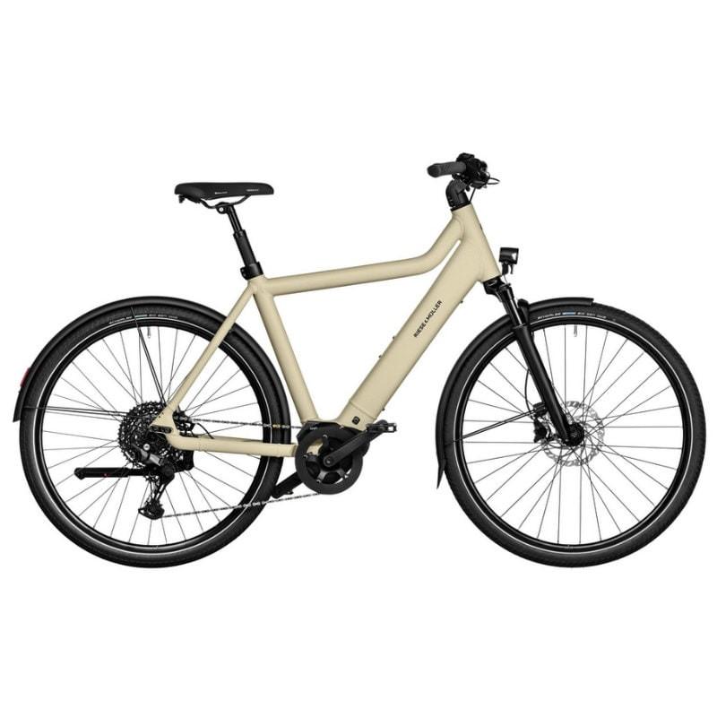 Riese & Müller Culture touring