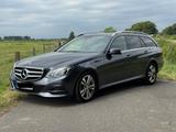 Mercedes-Benz E 220 T CDI Avantgarde Kombi 2. Hand gepflegt!