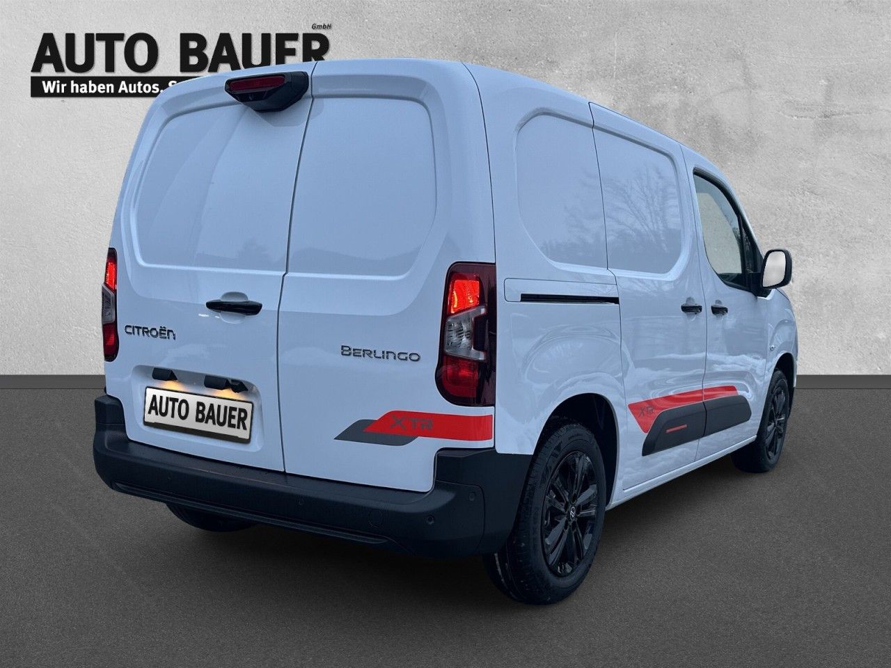 Fahrzeugabbildung Citroën Berlingo Kastenwagen M XTR Diesel 100