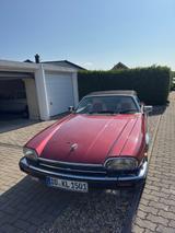 Jaguar XJS - Jaguar Oldtimer: Cabrio
