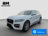 Jaguar F-Pace R-Sport*AWD*SHZ*AHK*Xenon*Steuerkette NEU - weiße Jaguar F-Pace