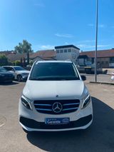 Mercedes-Benz V -Klasse 250d EDITION 4MATIC kompakt - : Weiß, Van