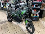 Kawasaki KLE 500 SE Rally  2026 TEAM WAHLERS SCHEEßEL - Angebote