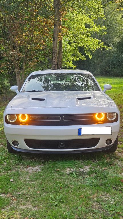 Image of Dodge Challenger