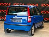 Fiat Panda 1.2 8V Dynamic #Automatik #Klima #TÜV - Fiat Panda mit Benzin-Antrieb: Kleinwagen, Automatik