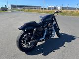 Harley-Davidson Roadster XL1200R - HARLEY-DAVIDSON ROADSTER 1200