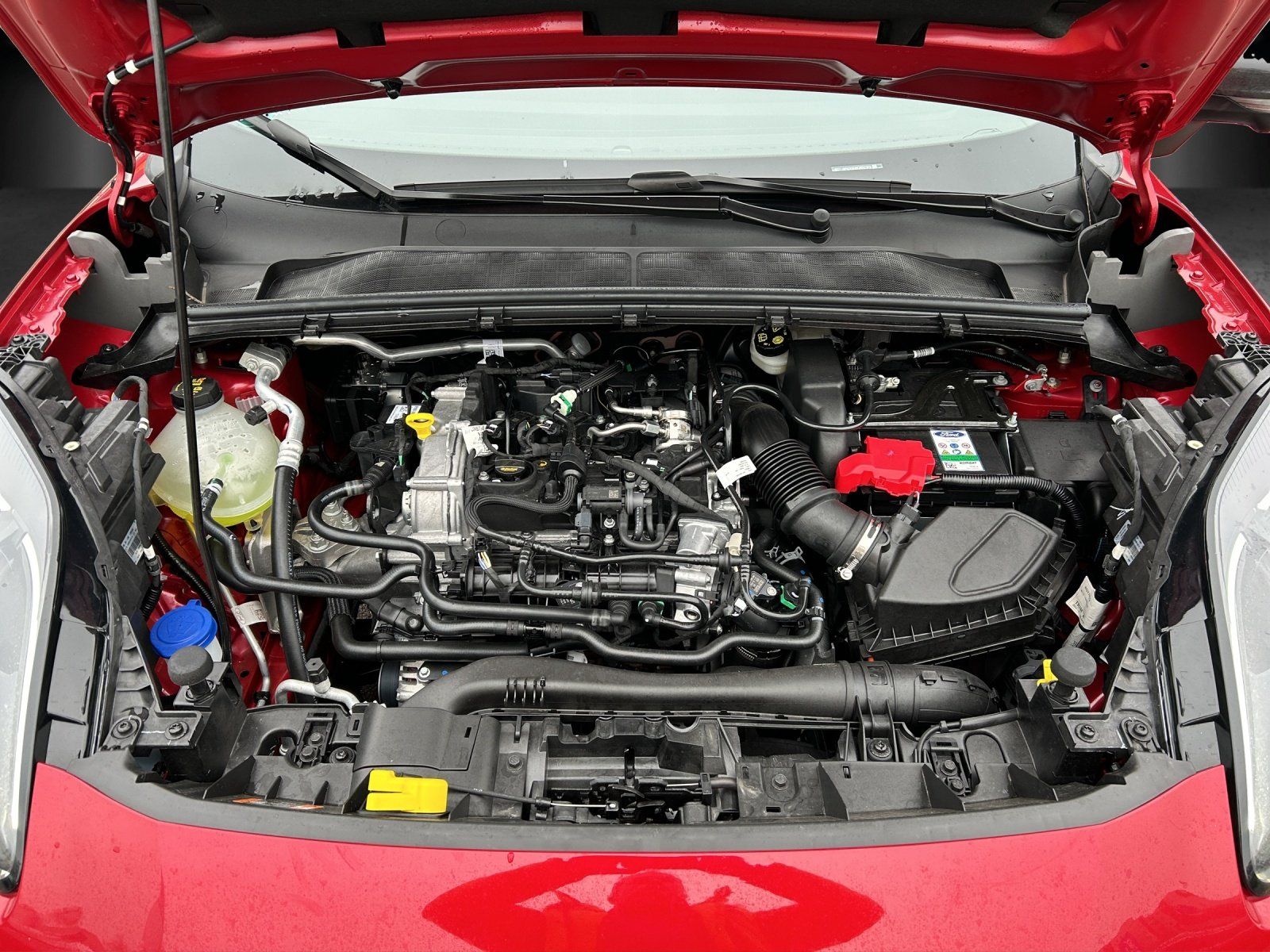 Fahrzeugabbildung Ford Puma St-Line Winter PaketDach Schwarz Kamera PDC