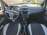 Fiat Punto Klima 1.2 Top Zustand! Winterauto - Fiat Punto Gebrauchtwagen in Halle