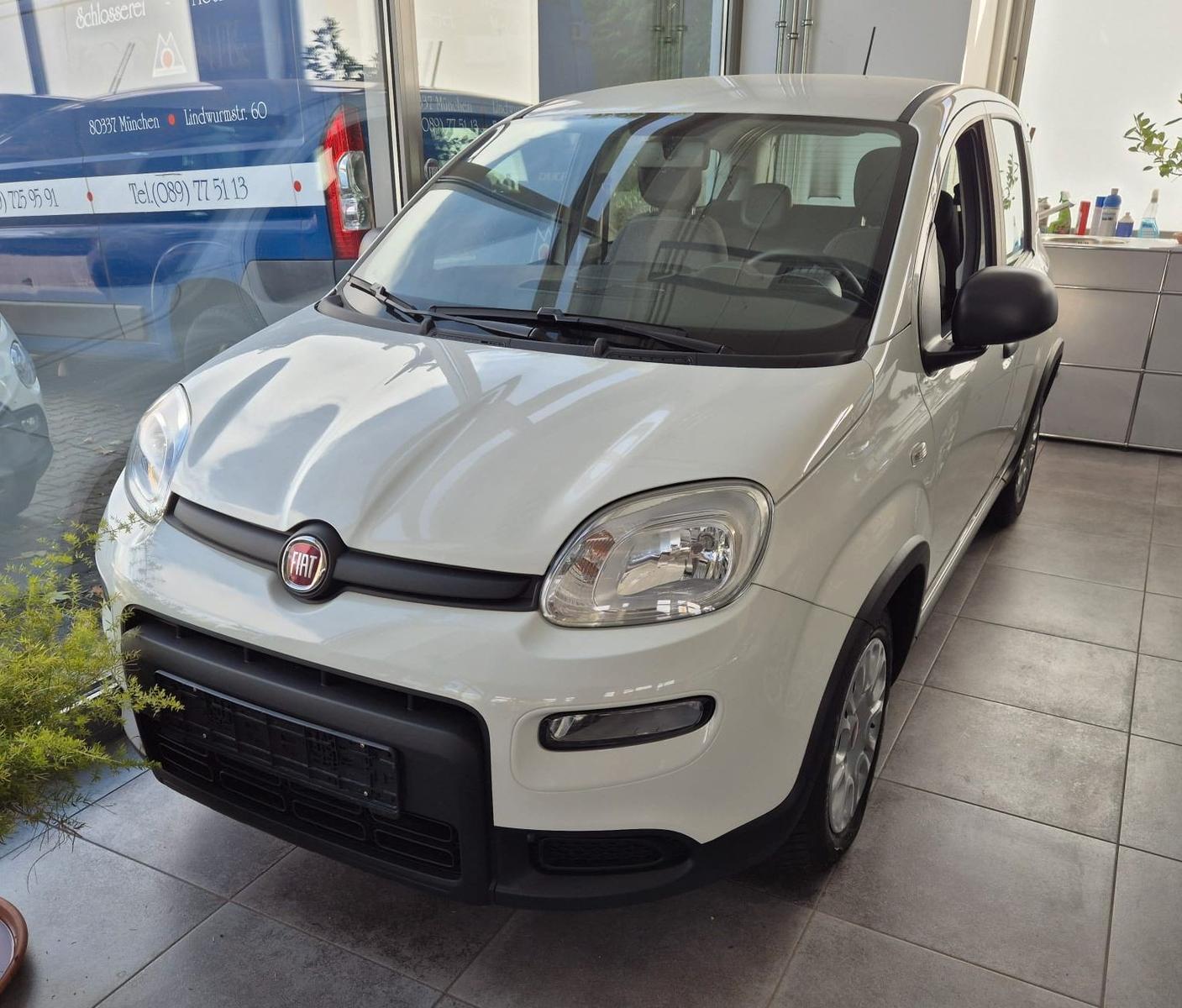 Fiat Panda weiß